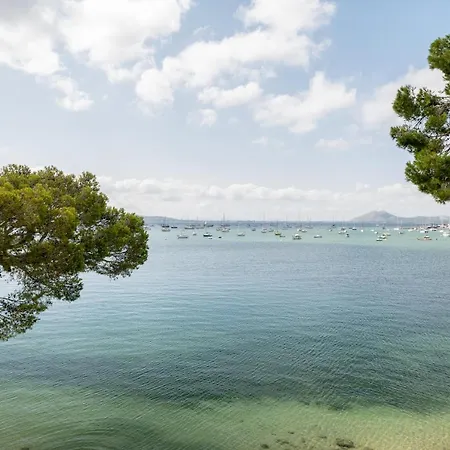 Catalina 3b Daire